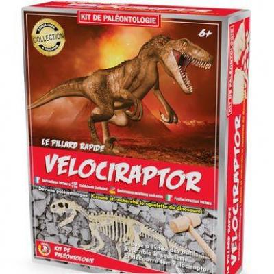 Kit paleontologie velociraptor
