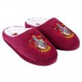 Chausson harry potter 1