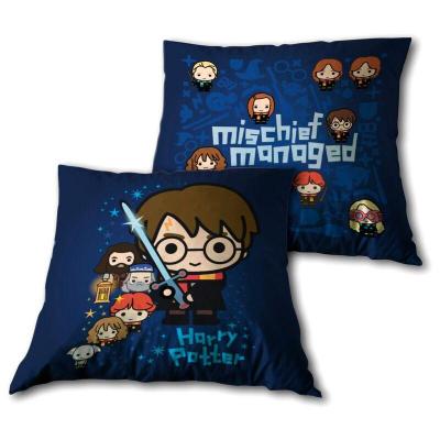 Coussin harry potter 1