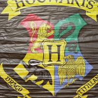 Decoration harry potter