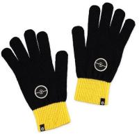 Gants pokemon adulte