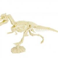 Kit paleontologie trex tyrannosaure jeu dinosaure 