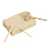 Kit paleontologie trex tyrannosaure jeu pour enfan