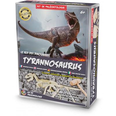 Kit paleontologie trex tyrannosaure