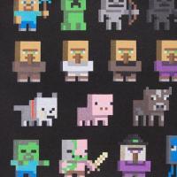 Minecraft sprites boys hoodie arty web 555x700