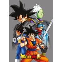 Plaid dragon ball couverture pour enfant dragon ball super