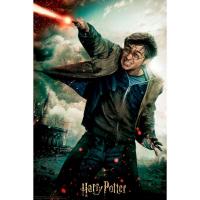 Puzzle 3d harry potter 1