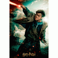 Puzzle 3d harry potter lenticulaire