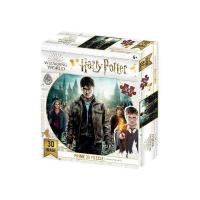 Puzzle harry potter 300 pieces 3d 1