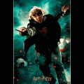 Puzzle lenticulaire 3d harry potter ron 300 