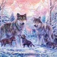 Puzzle loup ravensburger