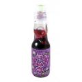 Ramune hata kosen raisin 200ml