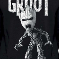 Sweat gardiens de la galaxie