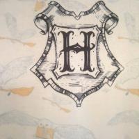 T shirt harry potter hedwig