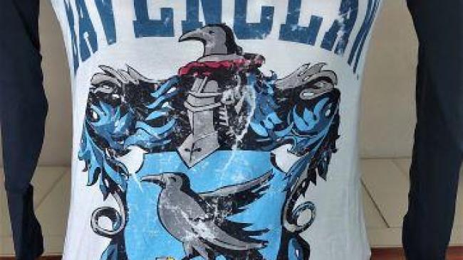 Textile Harry Potter