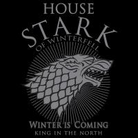 T shirt stark 1 