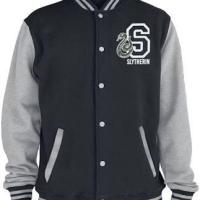 Teddy serpentard harry potter