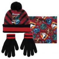 Vetement hiver harry potter gants bonnet echarpe
